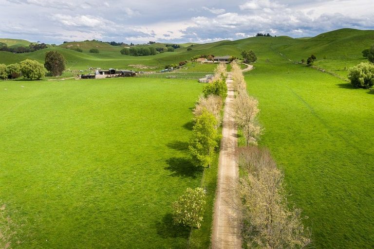 Photo of property in 99 Crownthorpe Sett Road, Crownthorpe, Hastings, 4179