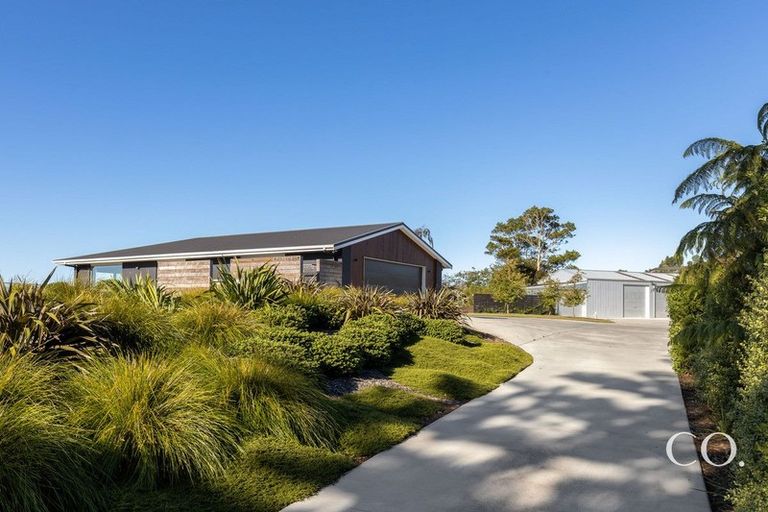 Photo of property in 51c Neewood Road, Ohauiti, Tauranga, 3173