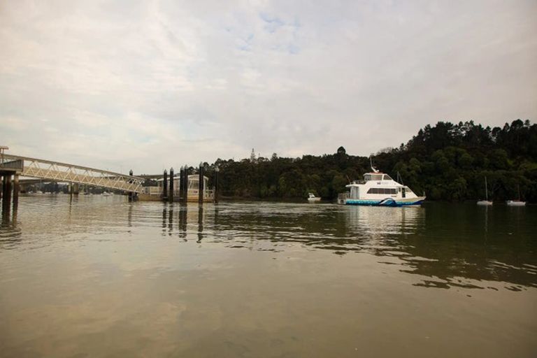 Photo of property in 9 Golden Fall Road, Hobsonville, 0616