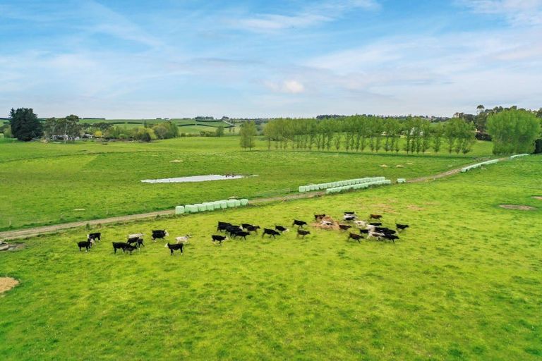 Photo of property in 64 Rosewill Valley Road, Washdyke Flat, Timaru, 7975