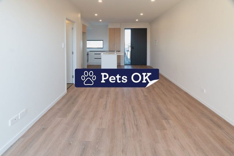 Photo of property in 20 Clay Works Lane, New Lynn, 0600