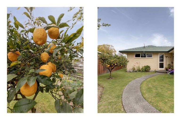 Photo of property in 18 Norrie Street, Te Puke, 3119