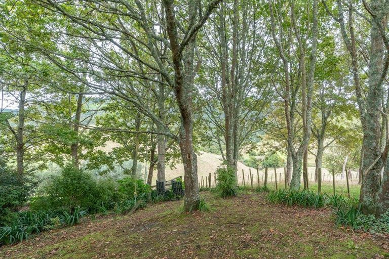 Photo of property in 1891 Waingaro Road, Waingaro, Ngaruawahia, 3793