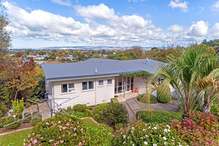 Photo of property in 1 Belgium Terrace, Mangapapa, Gisborne, 4010