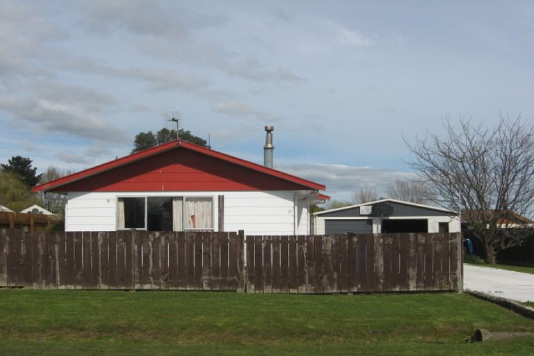 Photo of property in 17 Tawa Street, Tokomaru, Palmerston North, 4474