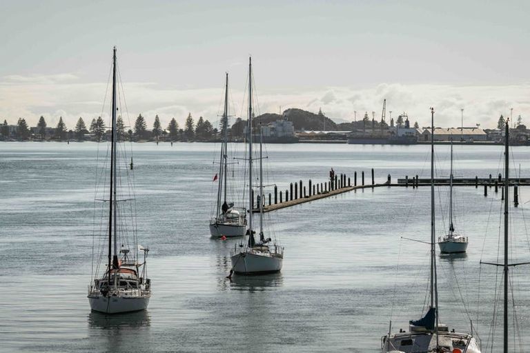 Photo of property in 80 Sutherland Road, Brookfield, Tauranga, 3110