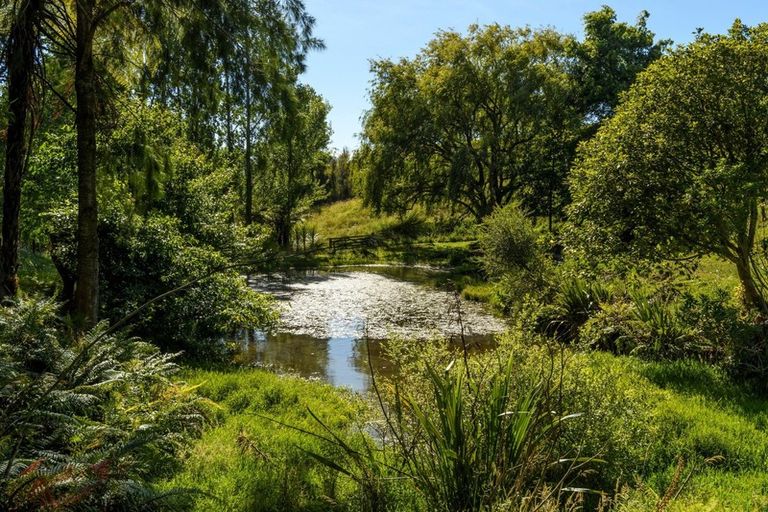 Photo of property in 173 Thompsons Track, Aongatete, Katikati, 3178