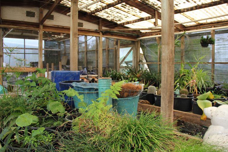 Photo of property in 85 Newton Road, Maungatapere, Whangarei, 0170