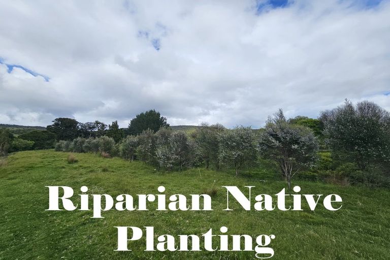 Photo of property in 1296 Wekaweka Road, Waimamaku, Kaikohe, 0473