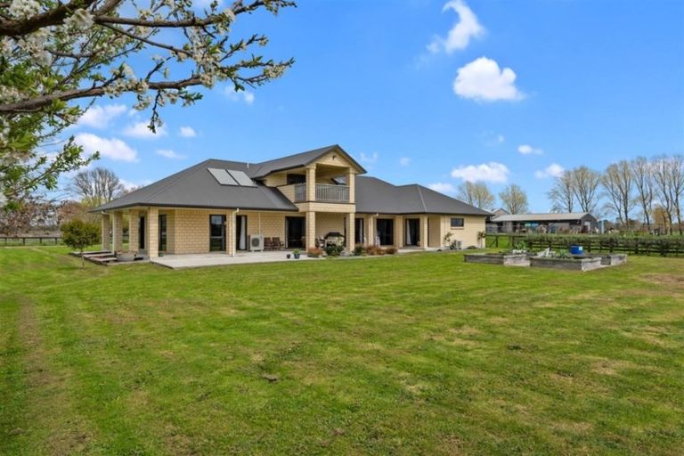 Photo of property in 387 Seddon Road, Gordonton, Hamilton, 3281