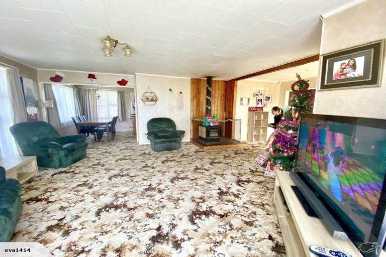 Photo of property in 53 Featherston Street, Levin, 5510