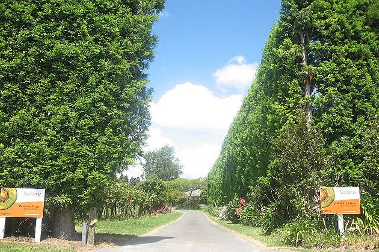 Photo of property in 527 No 2 Road, Te Puke, 3182