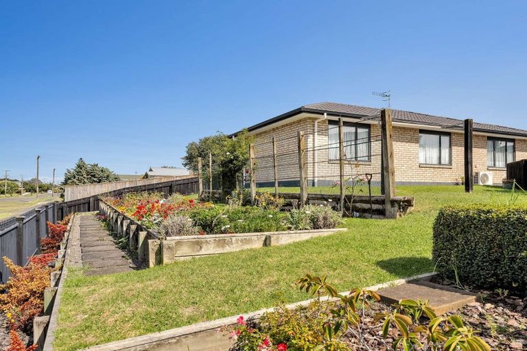 Photo of property in 2 Burns Street, Springvale, Whanganui, 4501