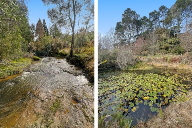 Photo of property in 84 Tebbutt Road, Lower Kaimai, Tauranga, 3171