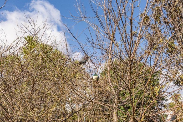 Photo of property in 7 Awatea Avenue, Paraparaumu, 5032