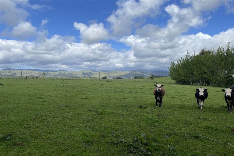 Photo of property in 106 Kukutauaki Road, Koputaroa, Shannon, 5575