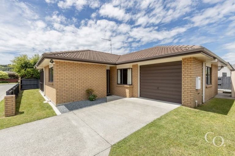 Photo of property in 37 Solomon Street, Brookfield, Tauranga, 3110