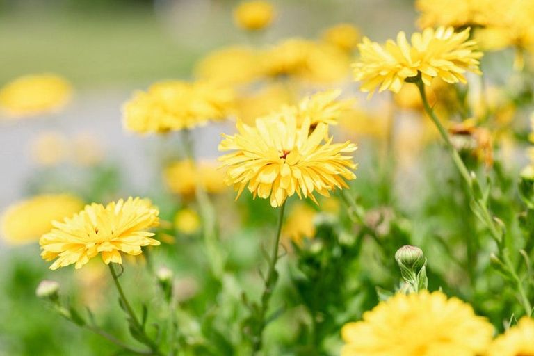 Photo of property in 10 Lampard Street, Methven, 7730