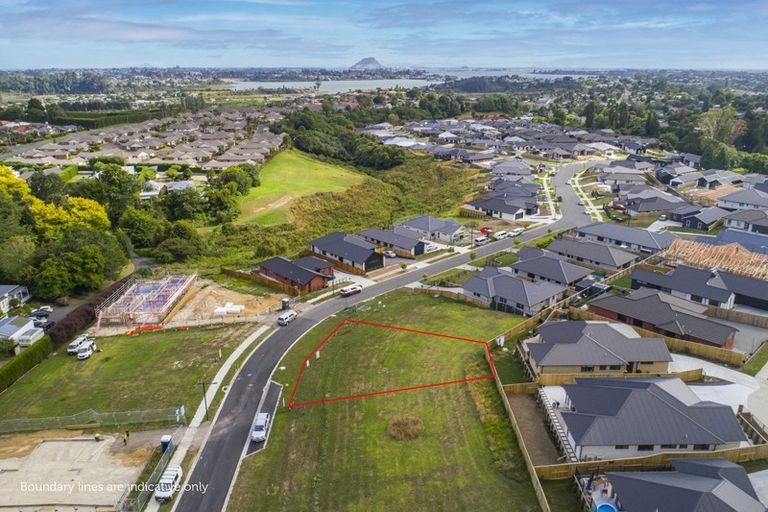 Photo of property in 53 Hass Drive, Ohauiti, Tauranga, 3112