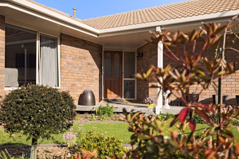 Photo of property in 62a Oxford Street, Te Puke, 3119