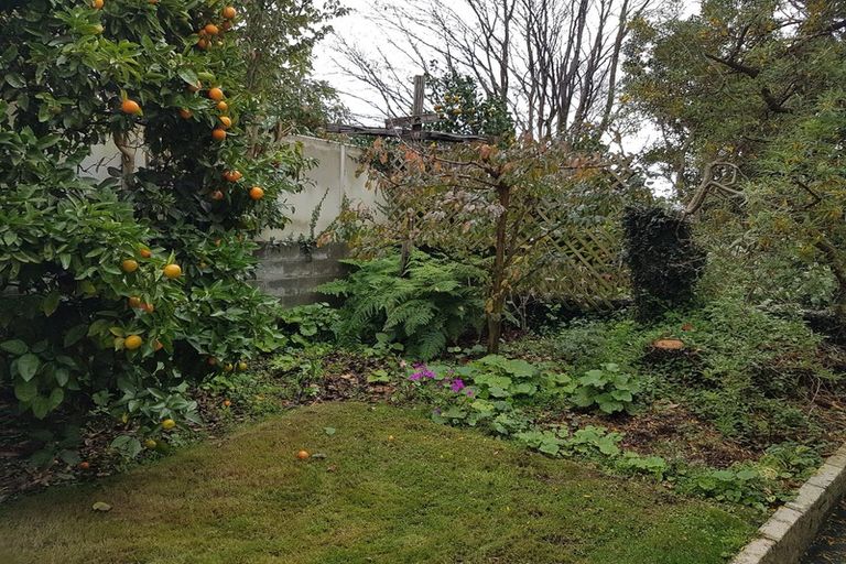 Photo of property in 3/340 Devon Street West, New Plymouth, 4310