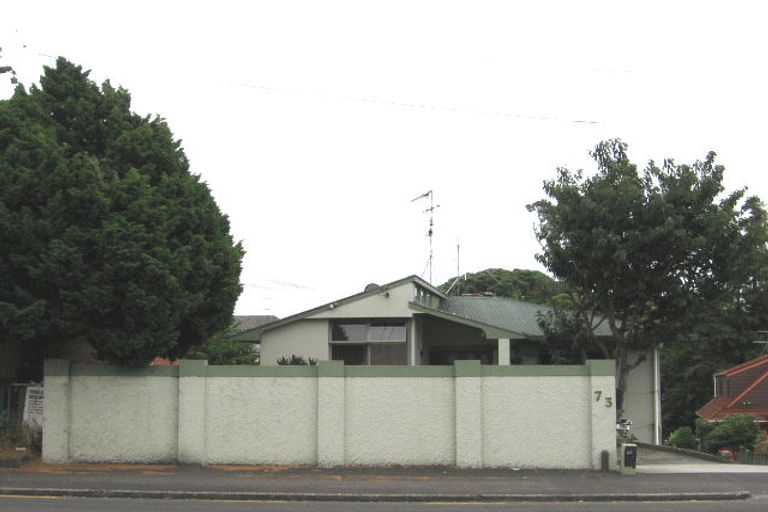 Photo of property in 73a Morningside Drive, Mount Albert, Auckland, 1025