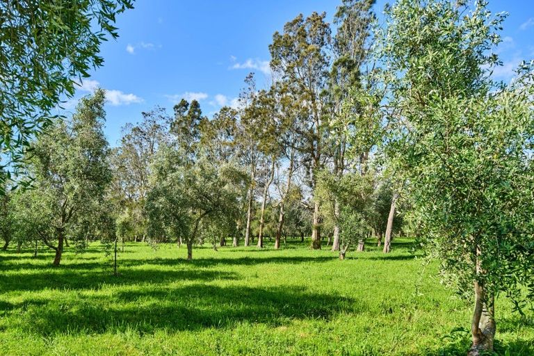 Photo of property in 96 Arcus Road, Te Horo, Otaki, 5582