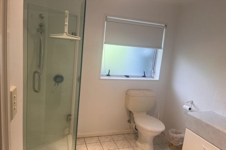 Photo of property in 111 Wheturangi Road, Greenlane, Auckland, 1051