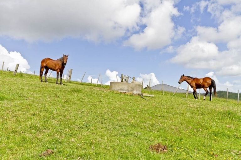 Photo of property in 98 Cameron Way, Makarau, Kaukapakapa, 0873