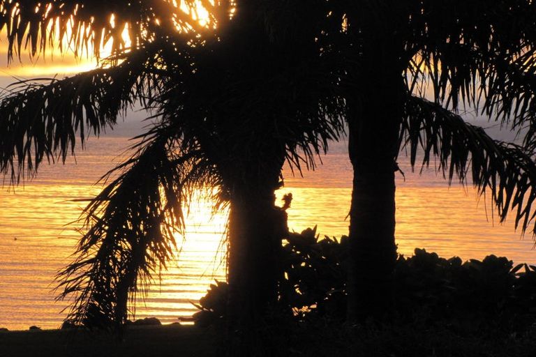 Photo of property in 101 Prices Avenue, Thames, 3500