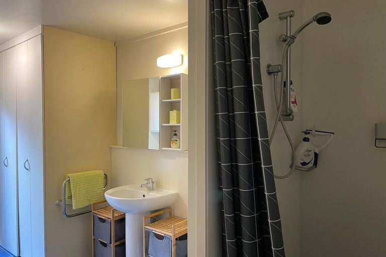 Photo of property in 1a Bridgewater Road, Parnell, Auckland, 1052