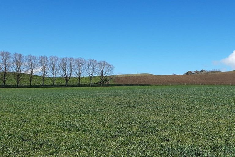 Photo of property in 233 Elephant Hill Road, Waihao Downs, Waimate, 7977