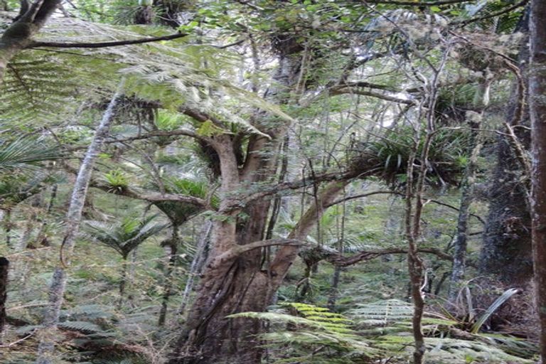 Photo of property in 1563 Duncan Road, Kaitaia, 0482