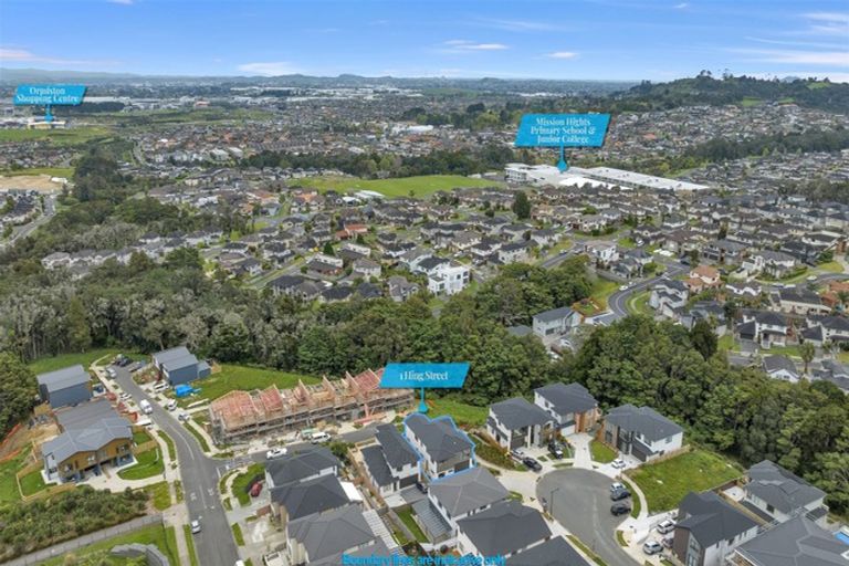 Photo of property in 1 Hing Street, Flat Bush, Auckland, 2019