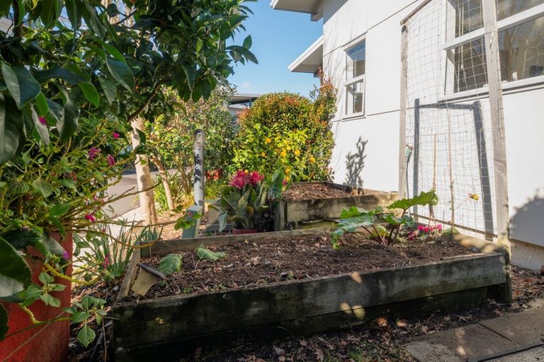 Photo of property in 15 Tory Way, Omokoroa, 3114