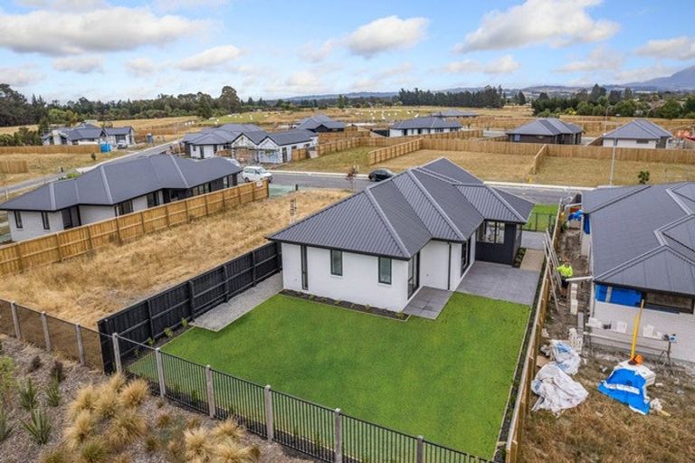 Photo of property in 45 Greig Crescent, Amberley, 7481