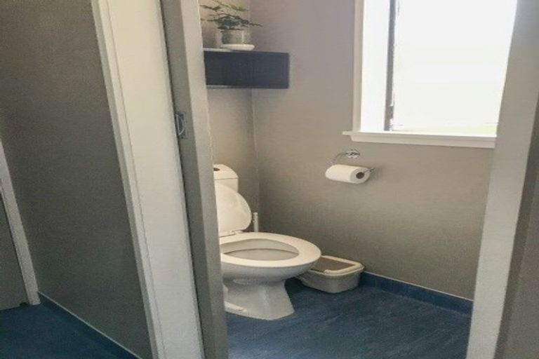 Photo of property in 49 Frame Street, North East Valley, Dunedin, 9010