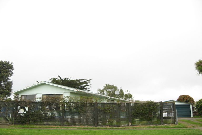 Photo of property in 141 Cracroft Street, Waitara, 4320