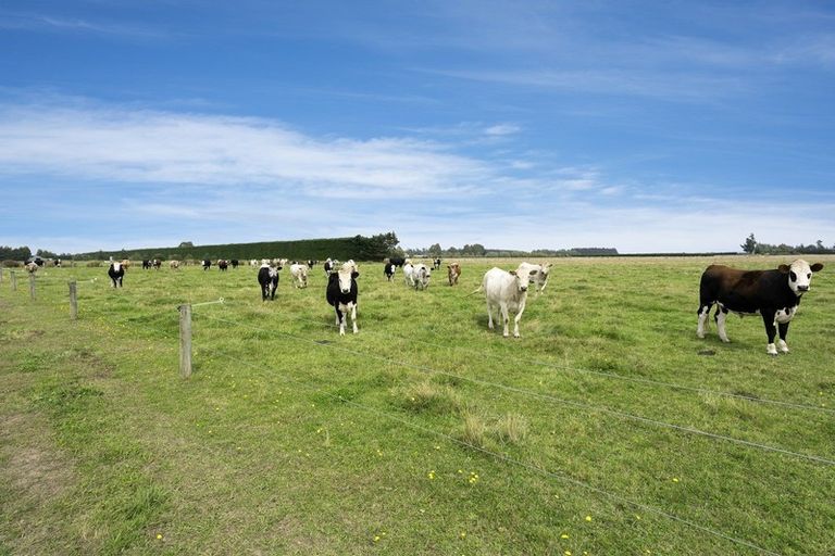 Photo of property in 1384 Wards Road, Charing Cross, Christchurch, 7671