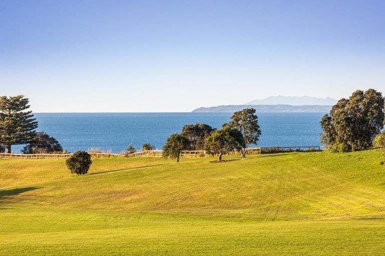 Photo of property in 17 Winscombe Street, Belmont, Auckland, 0622