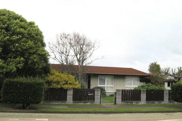 Photo of property in 14 Cardiff Street, Levin, 5510