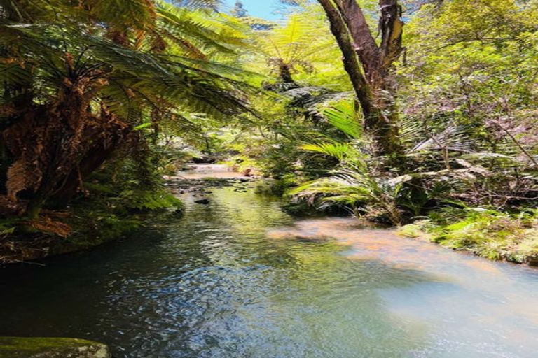 Photo of property in 101 Peebles Lane, Kuaotunu West, Whitianga, 3592