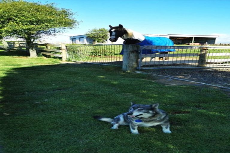 Photo of property in 277 Smart Road, Hillsborough, New Plymouth, 4372