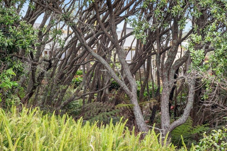 Photo of property in 38 Pacific Parade, Army Bay, Whangaparaoa, 0930