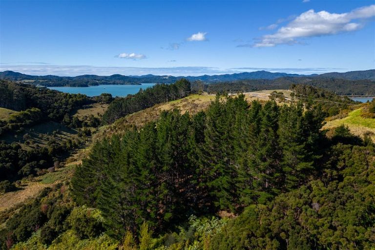 Photo of property in 93 Ranui Road, Karetu, Kawakawa, 0283