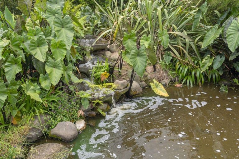 Photo of property in 376 Esdaile Road, Whakamarama, Tauranga, 3180