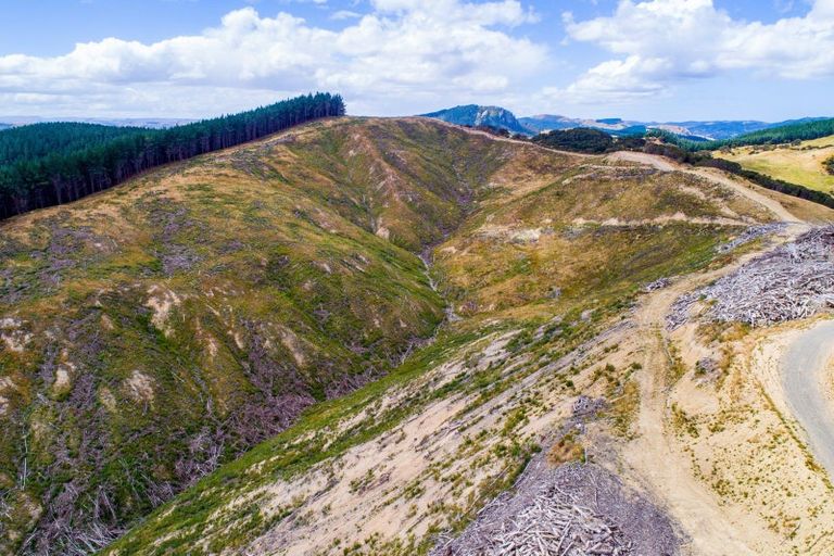 Photo of property in 3525 Masterton Castlepoint Road, Mangapakeha, Masterton, 5889