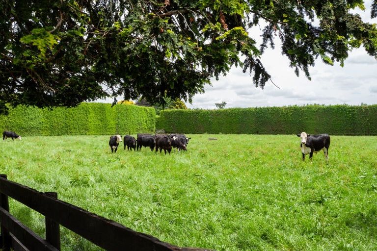 Photo of property in 1503 Alexandra Road, Waharoa, 3474