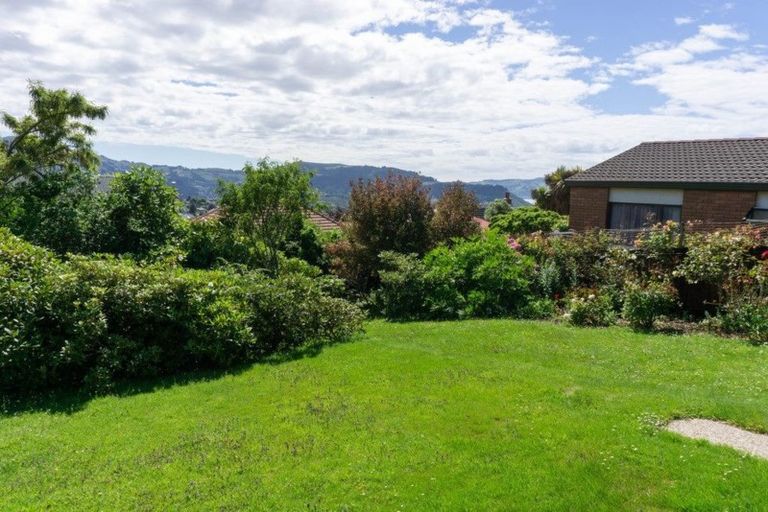 Photo of property in 21 Sheen Street, Roslyn, Dunedin, 9010