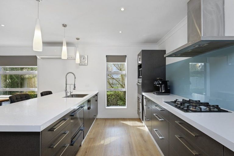 Photo of property in 50 Pocock Road, Springfield, 7681